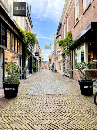 Vergroening prachtstraatjes Alkmaar