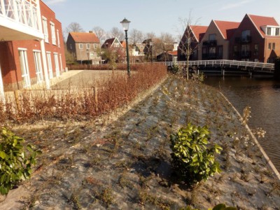 Groenproject martinus in medemblik afgerond