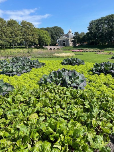 De garden, nieuwe ontdekkingstuin in enkhuizen