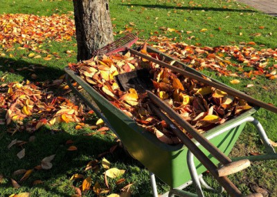 Tuinonderhoud in het najaar verlicht in het voorjaar