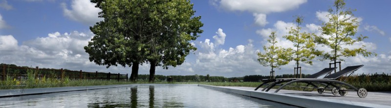 Natuurzwembaden en zwemvijvers