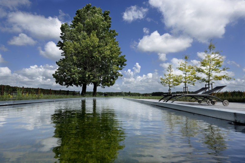 Zwemvijver en natuurzwembad