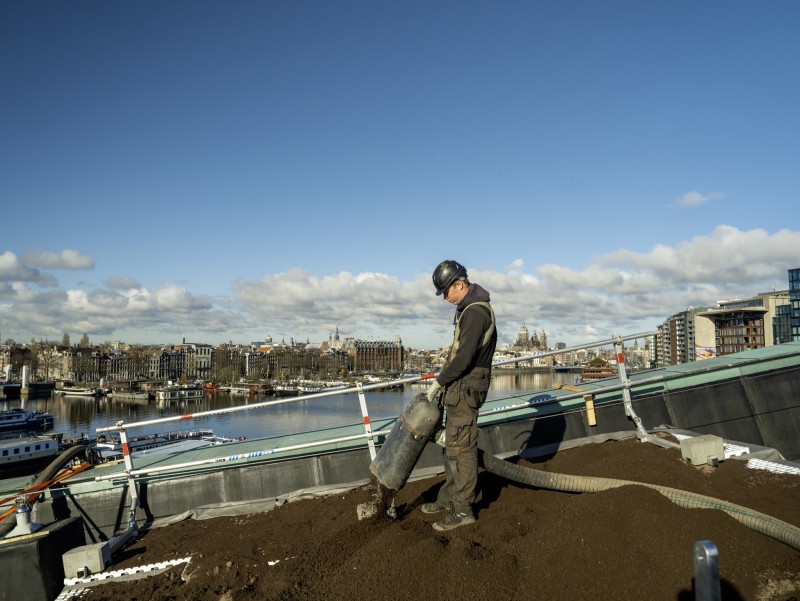 Medewerker daktuinen